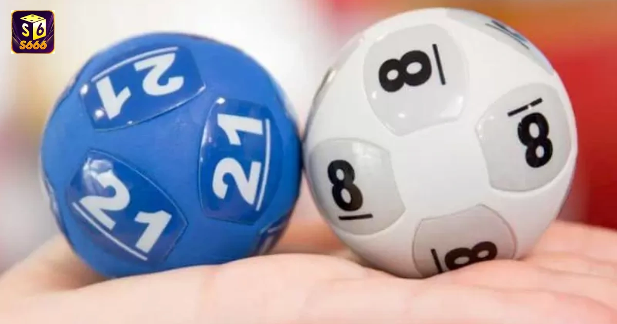 Bạch thủ lô là gì? Phân biệt với lô đề