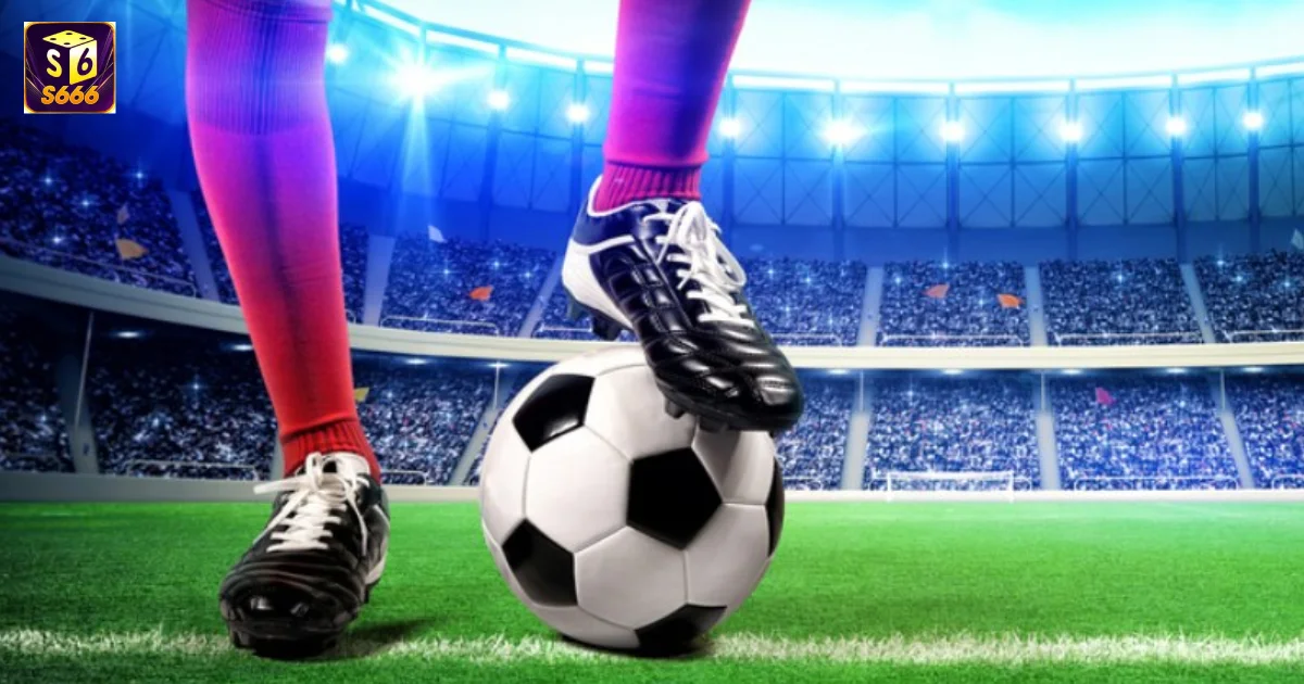 Cược Đối Đầu Tại S666: Những Điều Bạn Cần Biết